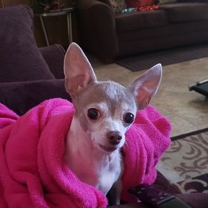 Meet your Posher, Mzz